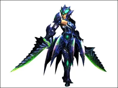 Quelle est cette armure ?