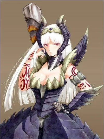 Quel est le nom de cette magnifique armure ?