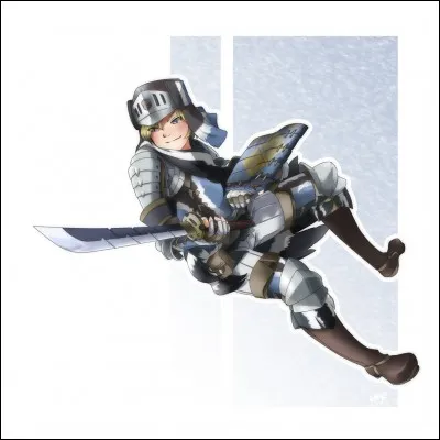 Quelle est cette armure ?