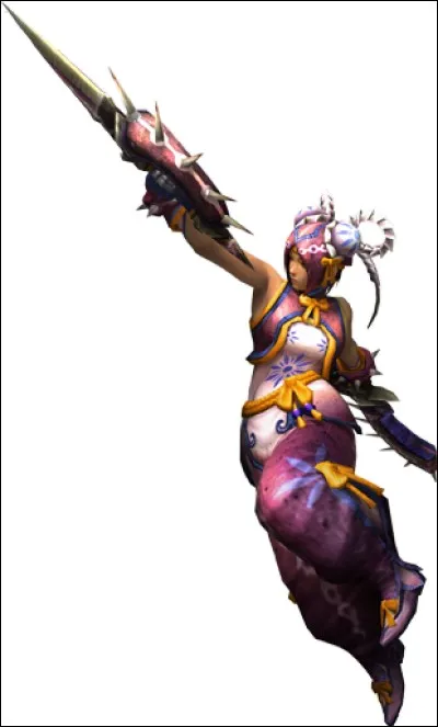 Quelle est cette armure ?