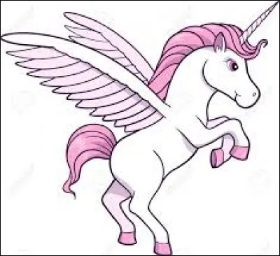 Oiseau tropical au bec énorme et recourbé :