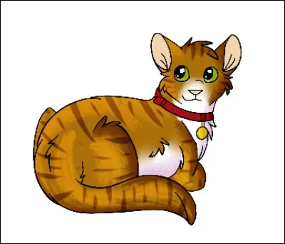 Combien a-t-il eu de compagnes ?