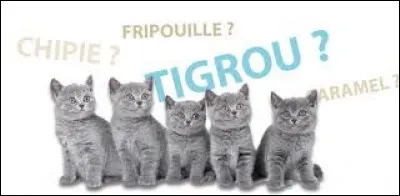 Quel est son nom en anglais ?