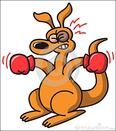 Voici l'intrus dans le match de boxe !