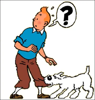 Où se camoufle l'intrus ?