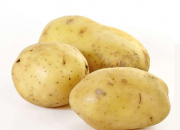 Quiz Pommes de terre