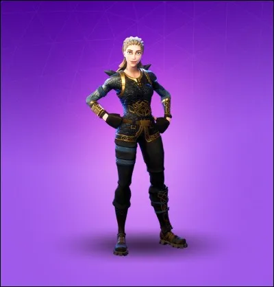 Quel est ce skin ?