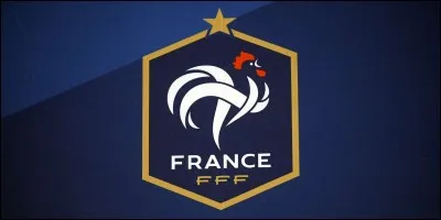 Qui est l'entraîneur de l'équipe de France ?