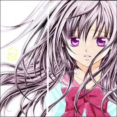 Dans quel manga est ce personnage ?