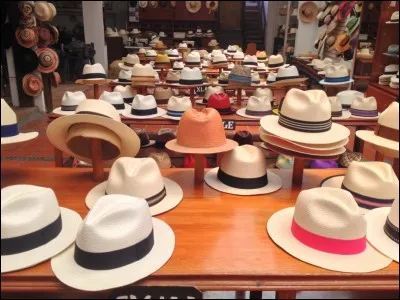 Pour faire un chapeau, je prends une pièce de feutre.
Comment s'appelle-t-elle ?