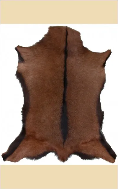 Monsieur le chapelier, faites moi un couvre-chef en raconde. Que veut dire raconde ?