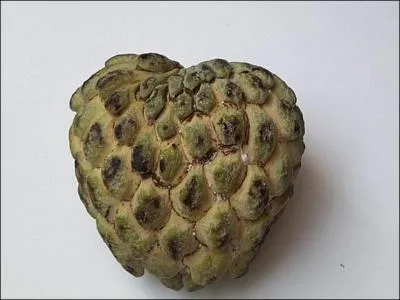 Quel est ce fruit ?