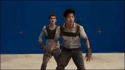 Grâce à quel film et à quelle série a-t-il été connu ?