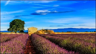 Cette chanson commence par : Bleu, bleu, le ciel de Provence ... Trouvez le nom de son interpr&egrave;te !