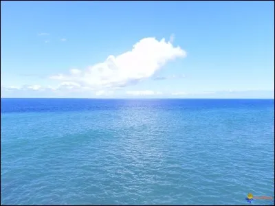 Quel acteur pouvez-vous voir dans ce film : Le Grand Bleu ?