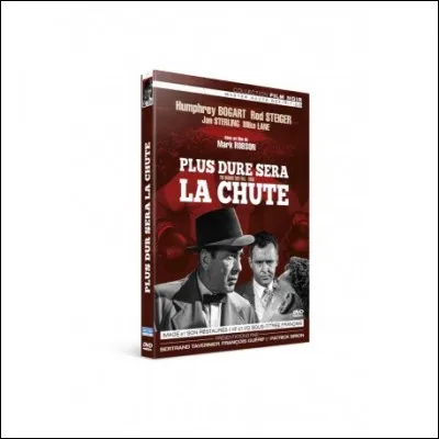 Madame s'est fait un petit bleu, mais que lui arrive-t-il ?