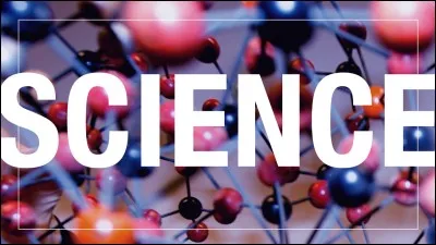 Dans le domaine des sciences, les Arabes ont apporté...