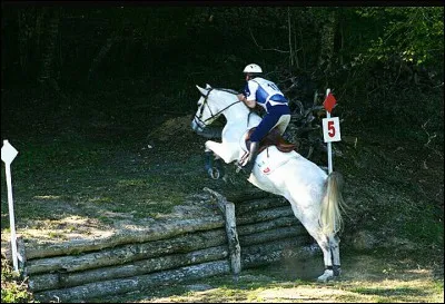 Quel est cet obstacle ?