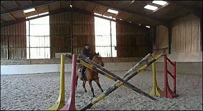 Quel est cet obstacle ?