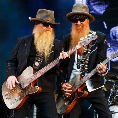 Dans quel groupe de rock américain jouent ces deux fameux barbus ?