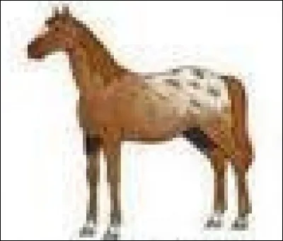 Comment s'appelle cette robe ?