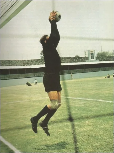 En football, quelle est la particularité de Lev Yachine ?