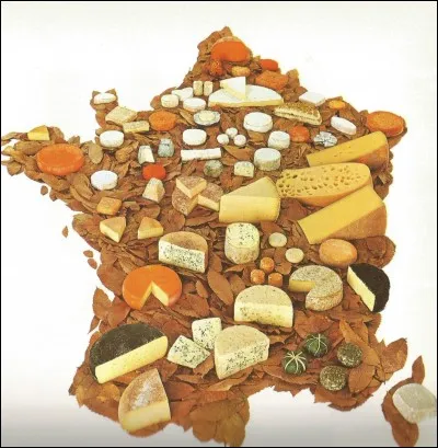 De quelle région est le fromage "soumaintrain" ?