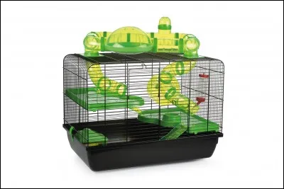 Les gerbilles sont obligées d'avoir une cage comme les hamsters.