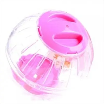 Les gerbilles sont obligées d'avoir une roue pour se balader dans la maison.