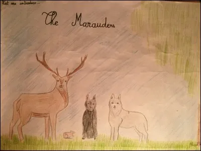 Qui est Sirius Black pour Harry ?