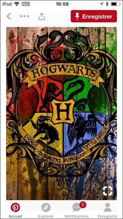 Qui Harry déteste-t-il dès son arrivée à Poudlard ?