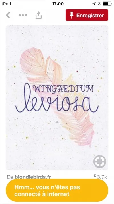 Qui réussit à faire voler à la perfection sa plume lors du premier cours avec le professeur Flitwick dans le tome 1 ?