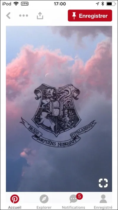 Quel est le patronus de Luna Lovegood ?