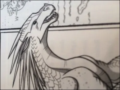 L'espèce de dragon que tu ne voudrais surtout pas être :