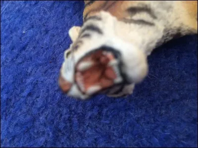 Ton ami(e) se fait embêter par un inconnu