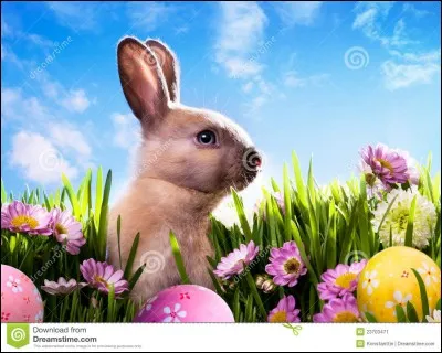 Complète : 
"El conejo de...".