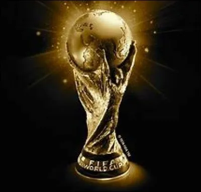 La Coupe du monde de football de 2010 s'est déroulée en Égypte.