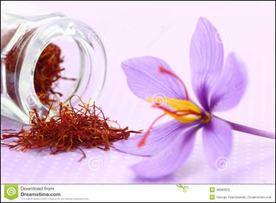 Combien d'étamines une fleur de safran possède-t-elle ?