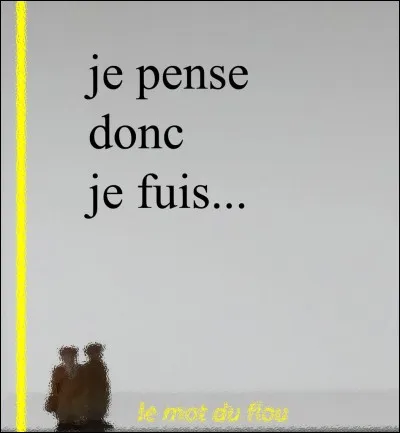 Il est célèbre pour avoir exprimé dans son "Discours de la méthode", je pense donc :