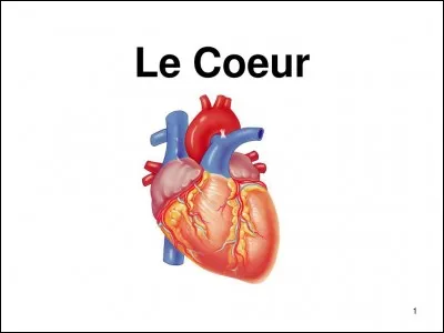 René Descartes a dit : "Le cur a ses raisons que la raison ne connaît point.". Vrai ou faux ?