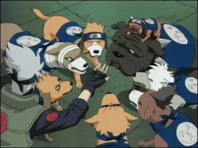 Quand Kakashi utilise-t-il pour la première fois son invocation "L'escouade des Crocs Traqueurs" ?