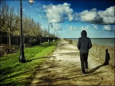 Qui a chanté "Loin d'ici" ?