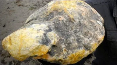 Ambre est une couleur, mais c'est aussi une concrétion intestinale de quel cétacé ?