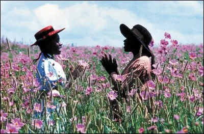 Qui est le réalisateur du film 'La Couleur pourpre' ?