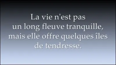 Quel est le nom de la famille radicalement opposée à celle des Le Quesnoy dans le film 'La vie est un long fleuve tranquille' ?