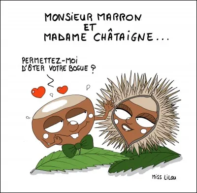 Les marrons accompagnent traditionnellement quelle volaille ?