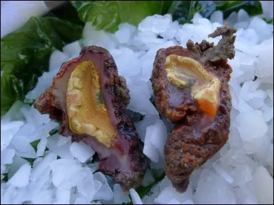 Quel est ce fruit de mer ?
