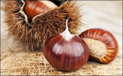 De nos jours, l'expression "être marron" signifie être :