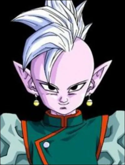 Quel est le nom fran&ccedil;ais de Kai&ocirc;-Shin ?