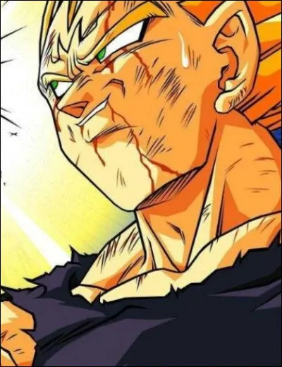 En quoi se transforme Vegeta apr&egrave;s son sacrifice contre Buu ?